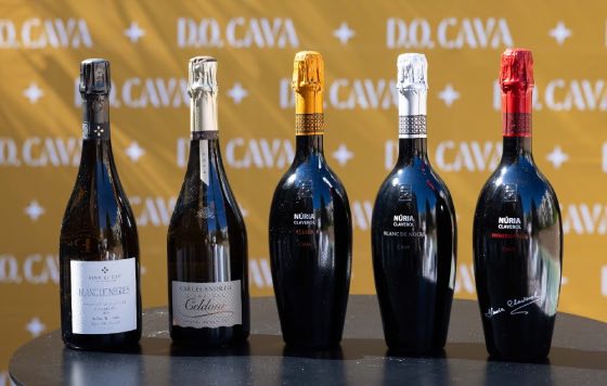Tecnovino, DO Cava, Cavas de Guarda Superior