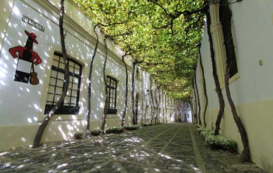 Tecnovino, González Byass