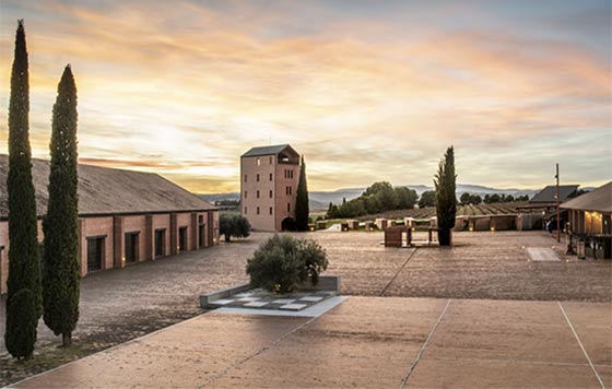 Tecnovino- Juvé & Camps, distribución en Estados Unidos con Vinamericas