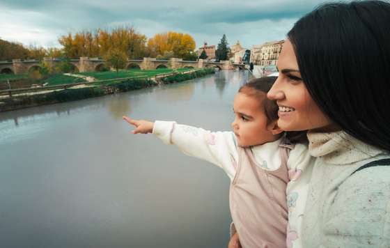 Tecnovino- La Ruta del Vino Ribera del Duero viajes a medida con IA