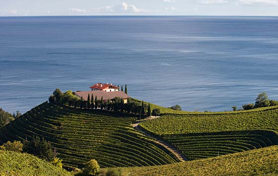 Tecnovino - Premios Euskadi de Gastronomía 2025: bodega Txomin Etxaniz