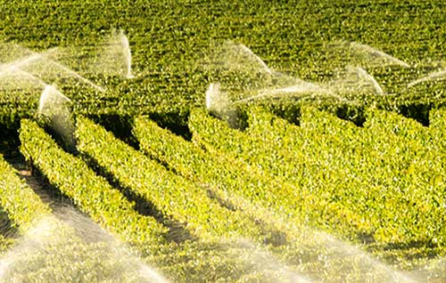 Tecnovino - regeneración y reutilización del agua en el sector del vino