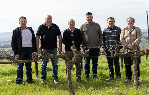 Tecnovino- Asociación de Viticultores del Penedès (AVP), DO CAVA