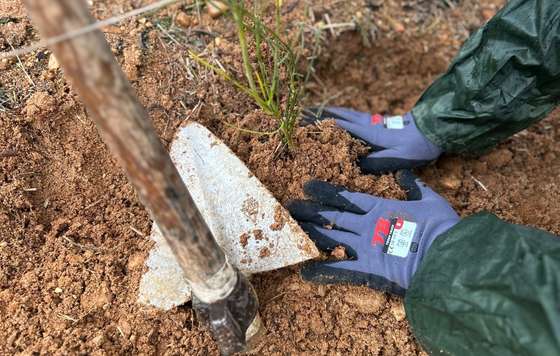 Tecnovino- Bodega Numanthia y GREFA biodiversidad en el viñedo