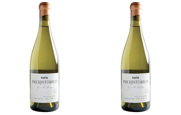 Tecnovino- Bodegas Naia, gama Naia Prehistórico, verdejos vino de Nieva y Vino de Orbita
