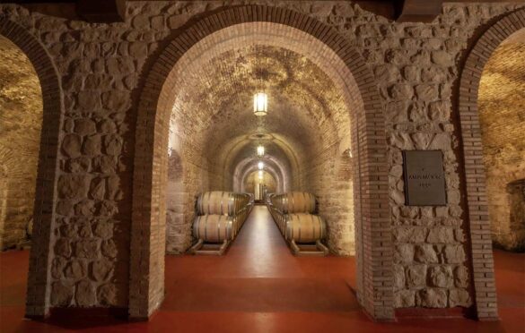 Tecnovino- Bodegas Riojanas, instalaciones