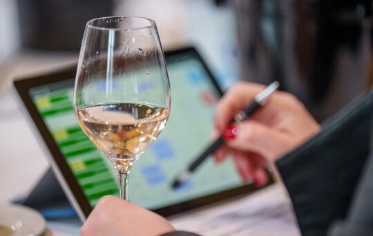 Tecnovino- Concursos Estrasburgo: vinos blancos, tintos, rosados