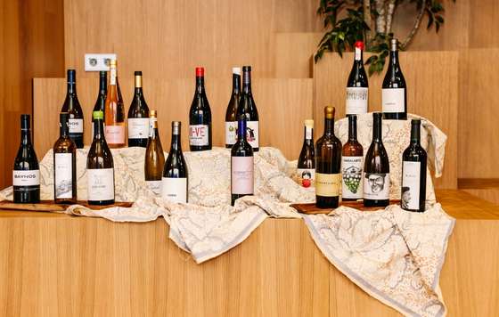 Tecnovino- Congreso Wine Shapers