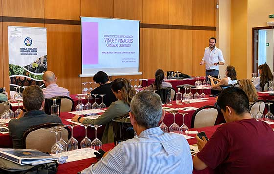 Tecnovino- Curso Vinos y Vinagres Huelva DOP Condado de Huelva