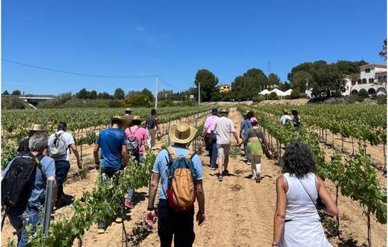 Tecnovino- La Primavera del Cava, evento de cava