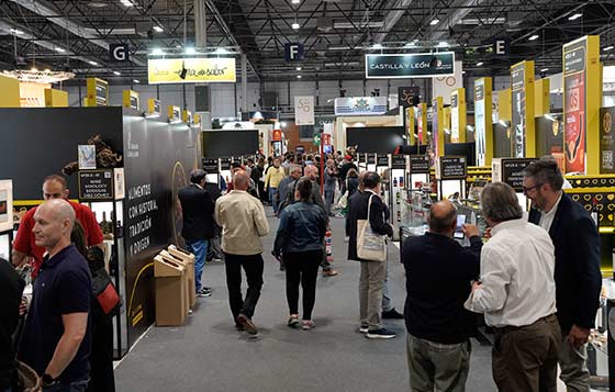 Tecnovino- Salón Gourmets 2026, Tierra de Sabor