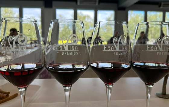 Tecnovino- XVII Premios Ecovino, premios vinos ecológicos