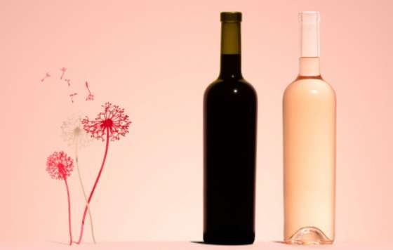 Tecnovino- botellas Optimum