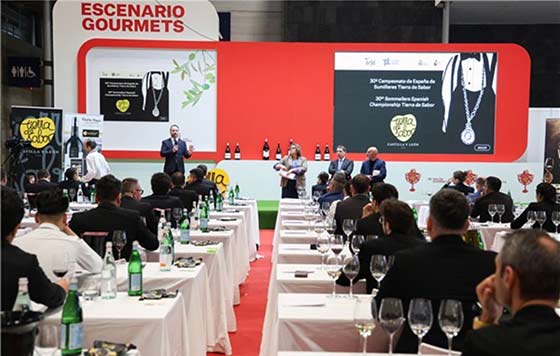 Tecnovino- Campeonato de España de Sumilleres Tierra de Sabor, Salón Gourmets