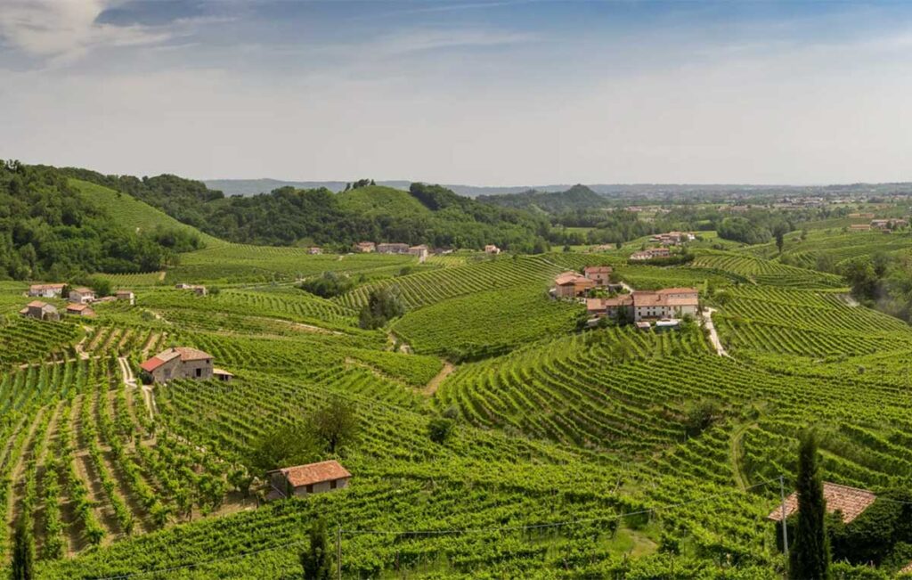 Tecnovino- enoturismo en Italia Colinas del Prosecco de Conegliano y Valdobbiadene