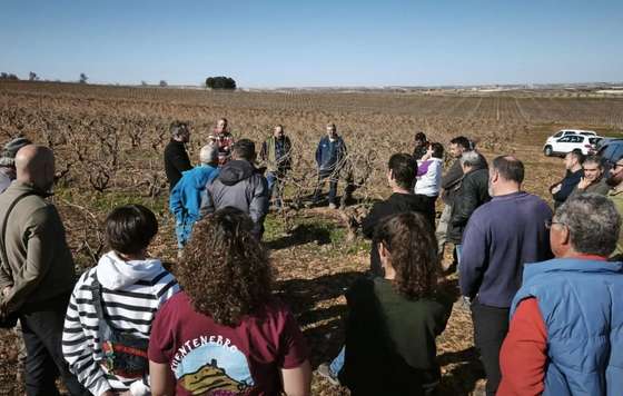 Tecnovino- proyecto Viñedos de Altura, Ribera del Duero