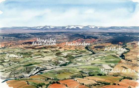 Tecnovino- proyecto Viñedos de Altura, Ribera del Duero