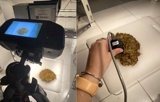 Tecnovino- residuos de la uva para mejorar el sabor del vino