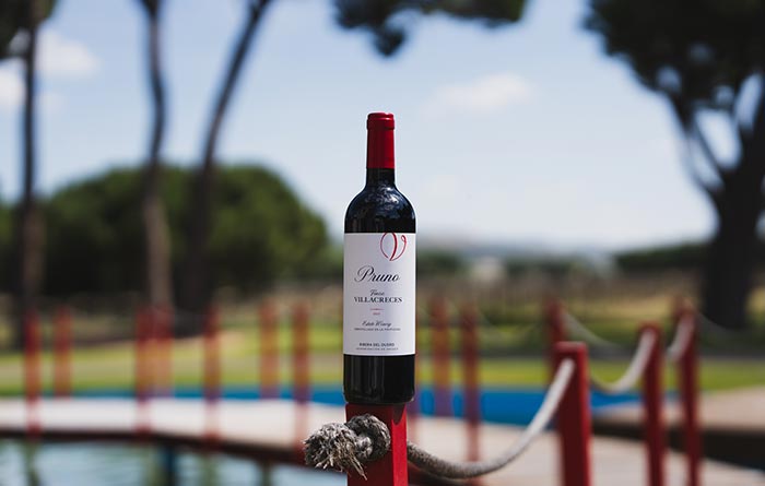 Tecnovino- vino Pruno 2023 Finca Villacreces botella y entorno