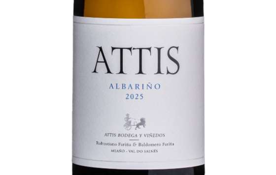 Tecnovino- ATTIS Bodegas y Viñedos Rías Baixas, albariño