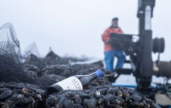 Tecnovino- ATTIS Bodegas y Viñedos Rías Baixas, albariño