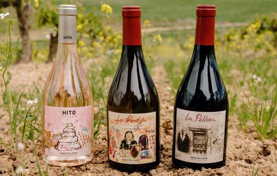 Tecnovino- Bodegas Cepa 21, La Rendija y La Pelliza referencias de alta gama