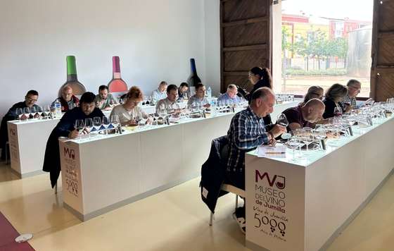 Tecnovino- DOP Jumilla añada 2025 "muy buena"