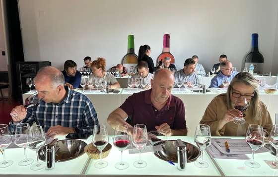 Tecnovino- DOP Jumilla añada 2025 "muy buena"