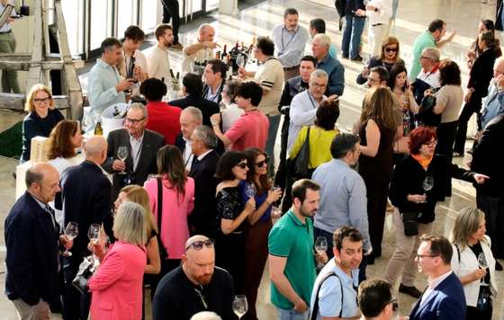 Tecnovino- DOP Valencia Noche del Vino