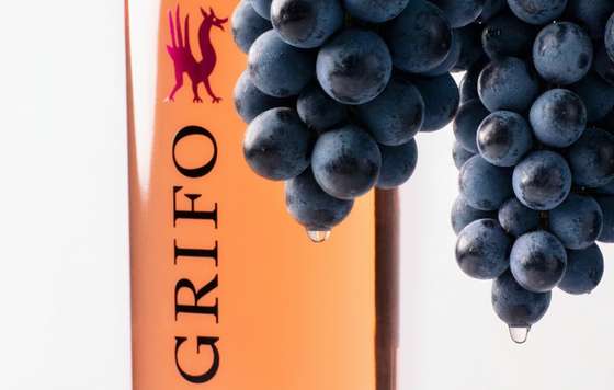 Tecnovino- El Grifo Rosado de Lágrima 2025