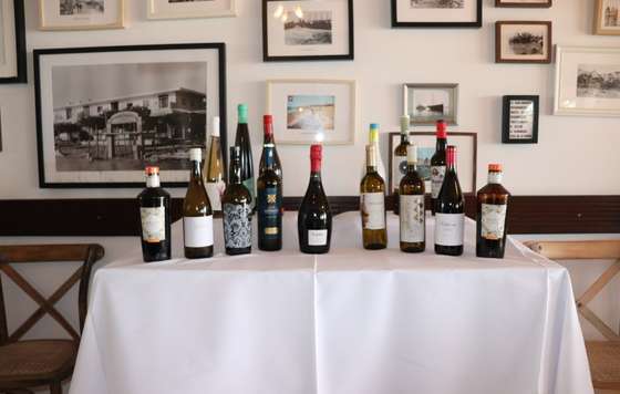 Tecnovino- La Ruta del Vino del Condado de Huelva