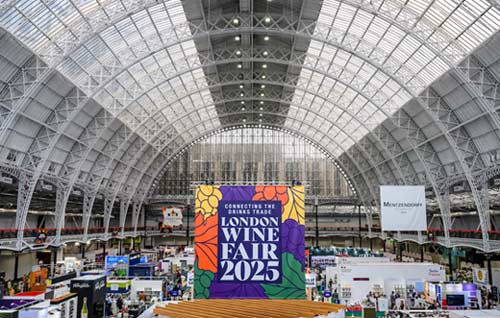 Tecnovino- networking profesional en London Wine Fair 2026 en Olympia London