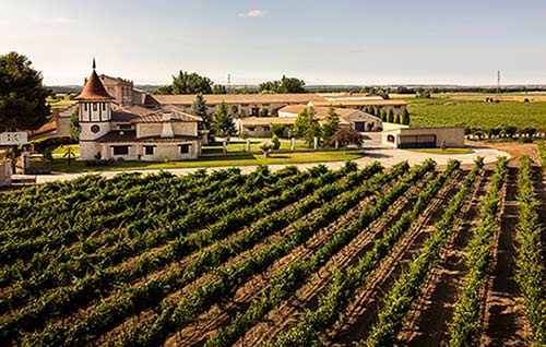 Tecnovino - López Cristóbal La Linde 2025 de Bodegas López Cristóbal, Finca La Linde