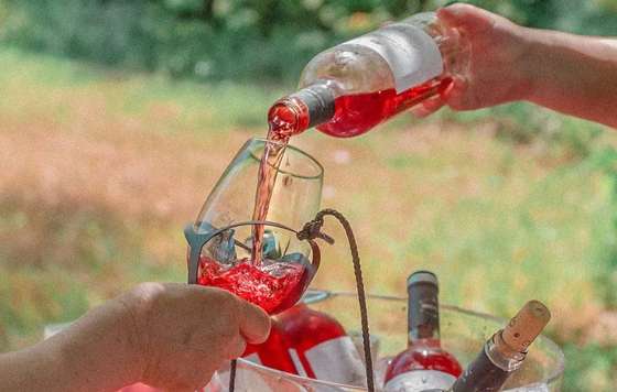 Tecnovino- San Martín de Unx XXVII Día del Rosado