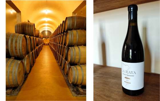 Tecnovino- “Viñas de Alange” con sello “Palacio Quemado”