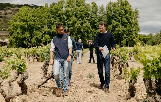 Tecnovino- Viñedos del Contino y Guillaume Thienpot crean CHORUS