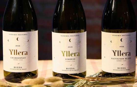 Tecnovino- Yllera Bodegas y Viñedos