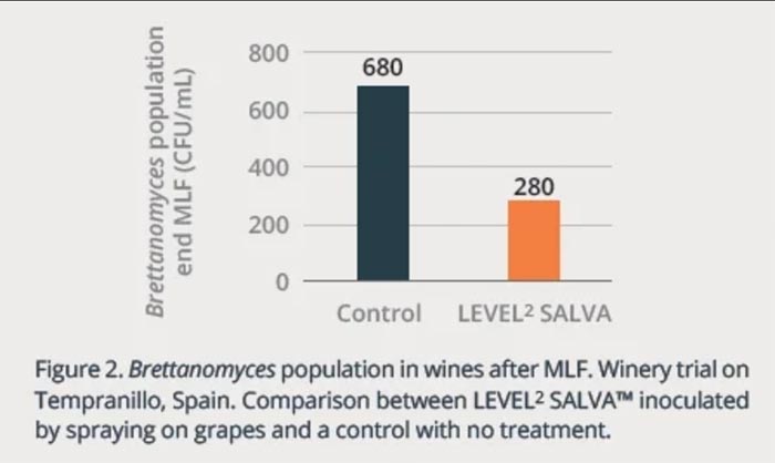 Tecnovino - control de Brettanomyces en bodegas: Level2 Salva de Lallemand, fig 2