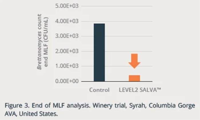 Tecnovino - control de Brettanomyces en bodegas: Level2 Salva de Lallemand, fig 3