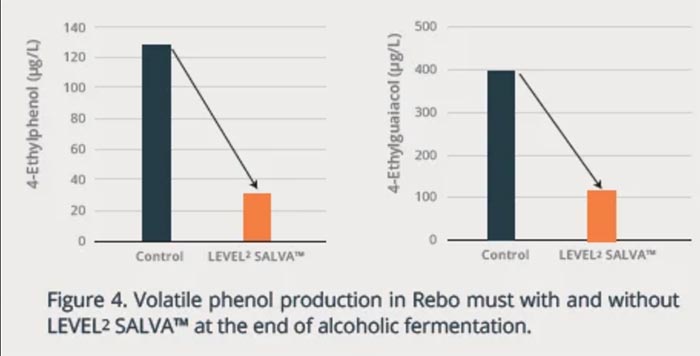Tecnovino - control de Brettanomyces en bodegas: Level2 Salva de Lallemand, fig 4