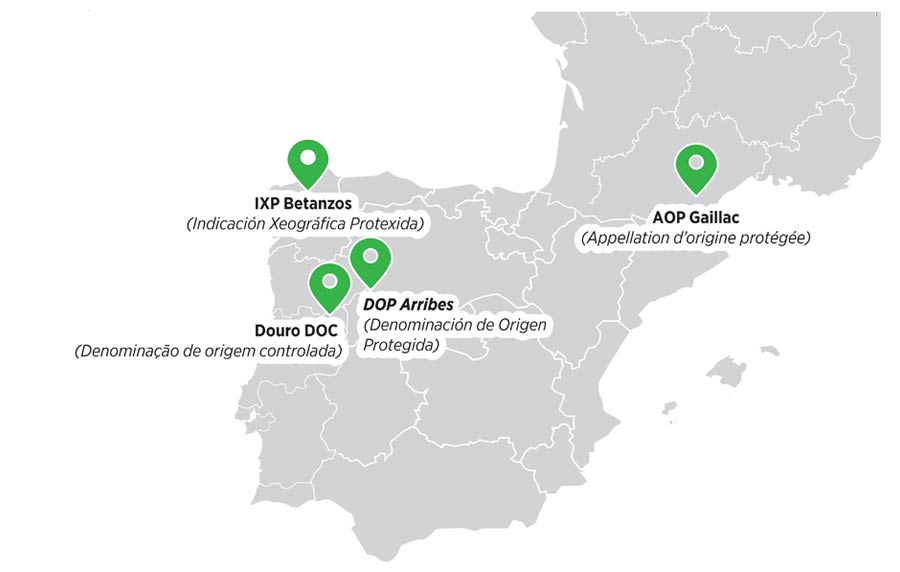 Tecnovino- proyecto Ecospherewines: resiliencia del viñedo, mapa de situación de parcelas