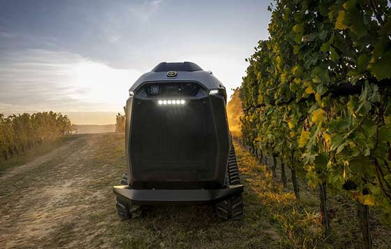 Tecnovino- robots autónomos para viñedo: serie R4 de New Holland, trabajo en viñedo