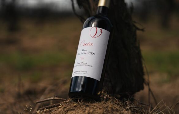 Tecnovino - Botella de vino tinto Creta 2022 de Finca Villacreces, un monovarietal 100% tinta fina con Denominación de Origen Ribera del Duero. En viñedo Valdelascuevas a 900 metros de altitud.