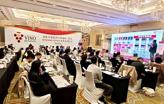Tecnovino- vinos de España en China, promoción de Oive