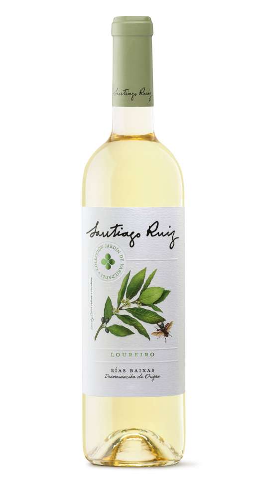 Tecnovino- Bodegas Santiago Ruiz, Santiago Ruiz Loureiro 2025