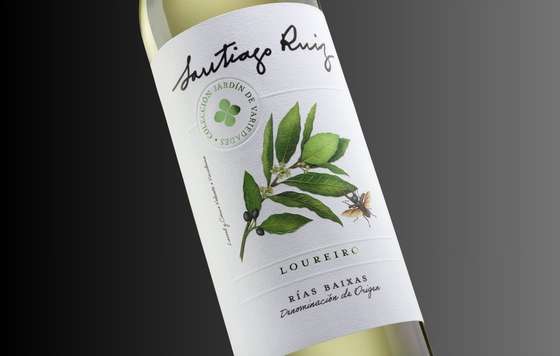 Tecnovino- Bodegas Santiago Ruiz, Santiago Ruiz Loureiro 2025