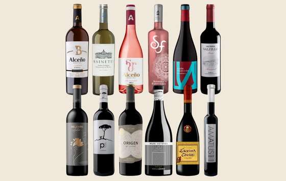 Tecnovino- Certamen de Calidad DOP Jumilla