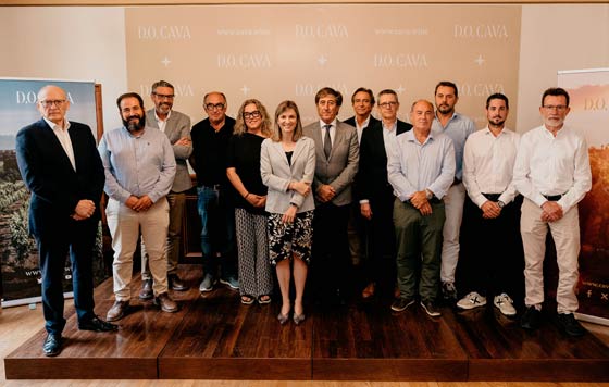 Tecnovino - DO Cava: Marta Vidal nueva presidenta con el equipo del Pleno