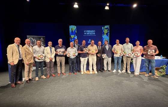 Tecnovino- DOP Condado de huelva Zalema Lovers by Gusto del Sur 2026