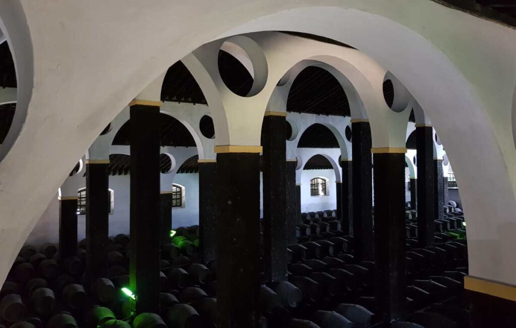 Tecnovino- La Arboledilla Catedral de la Manzanilla Bodegas Barbadillo 1
